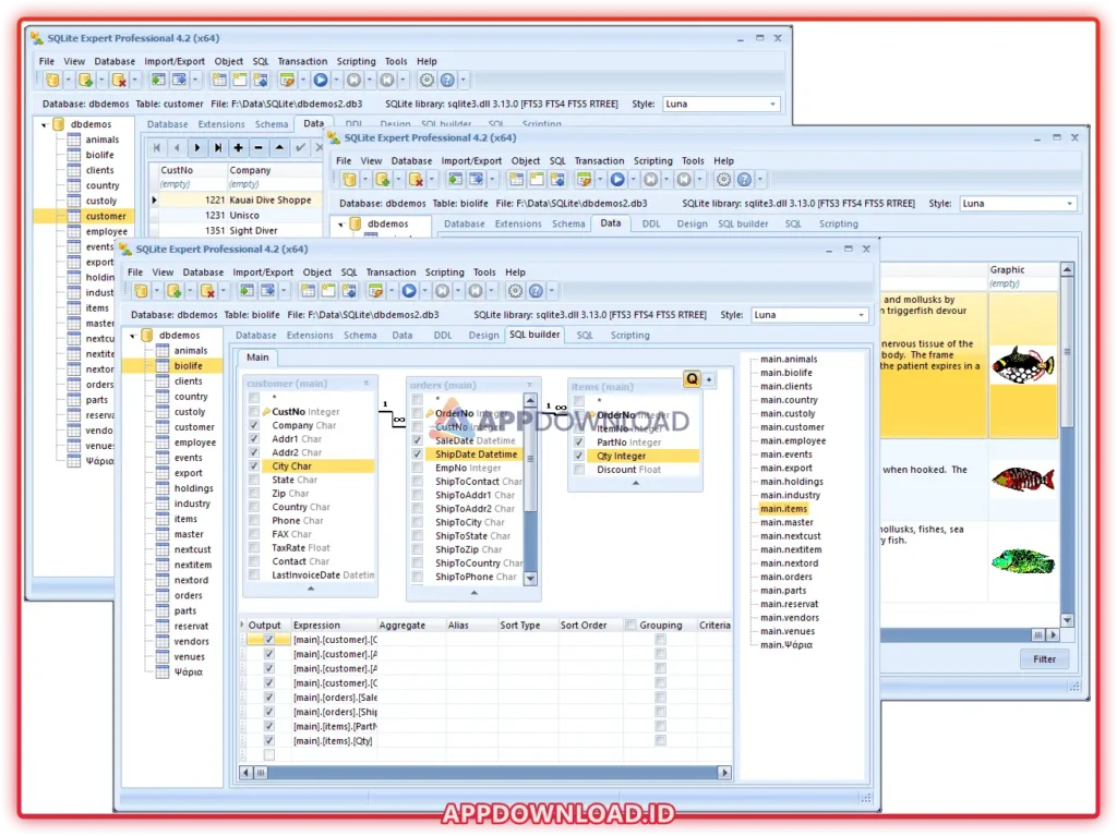 SQLite Expert Professional 5.4.57.601 SQLite Expert Professional