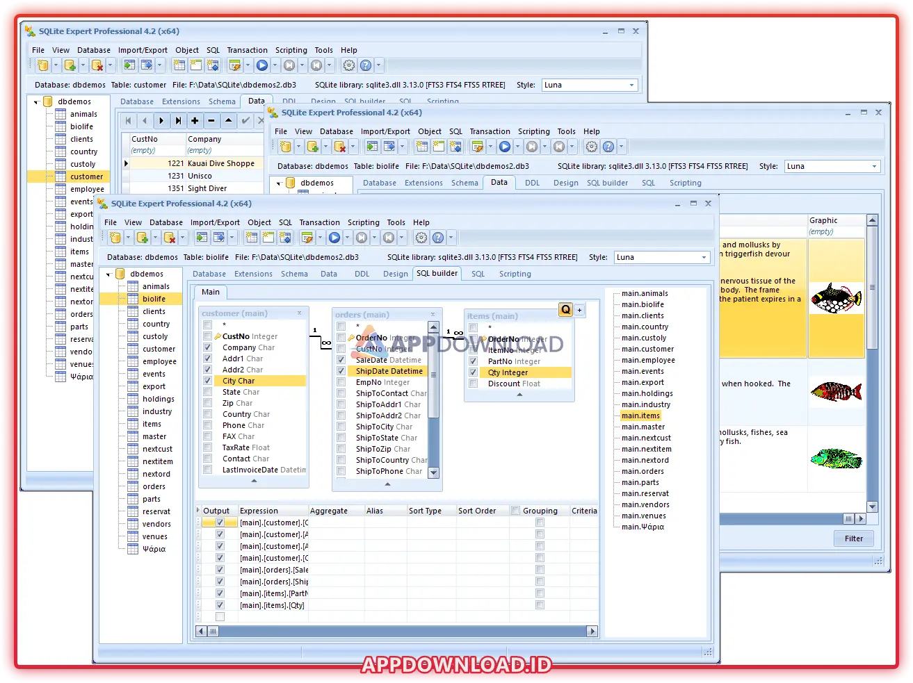 SQLite Expert Professional 5.4.57.601 SQLite Expert Professional
