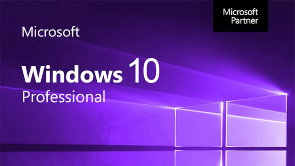 Windows 10 Professional Preactivated 19045.3208 Windows 10 Professional Preactivated