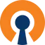 openvpn