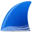 Wireshark
